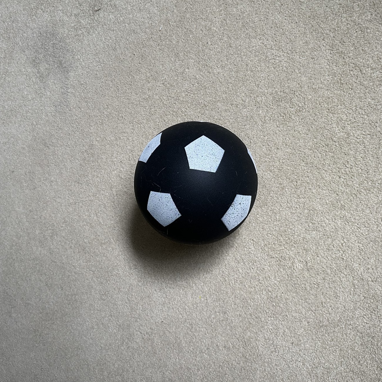 The Silent Kick ball at home