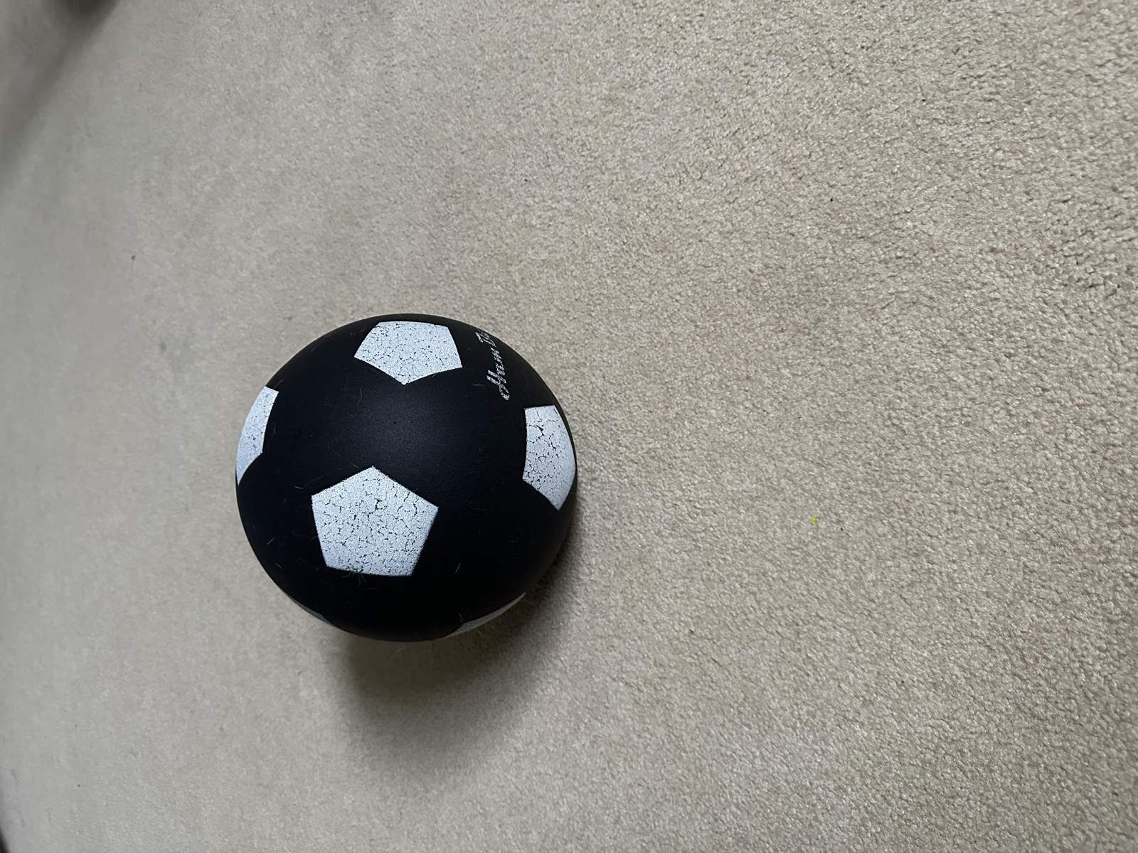 The Silent Kick ball at home